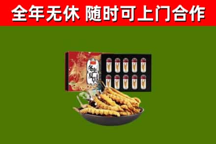 富拉尔基区烟酒回收冬虫夏草礼盒.jpg